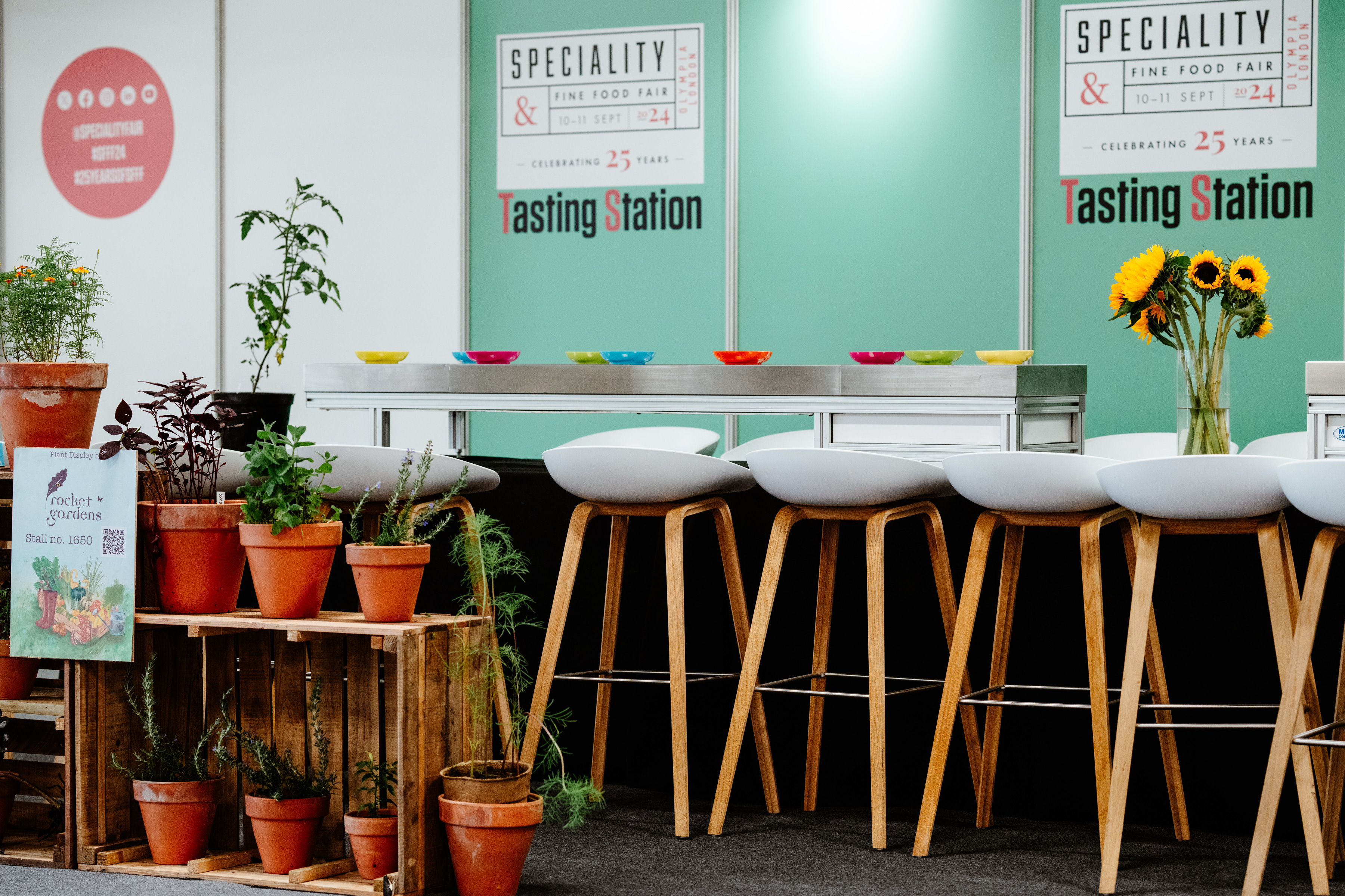 Colorful sushi plates on conveyor